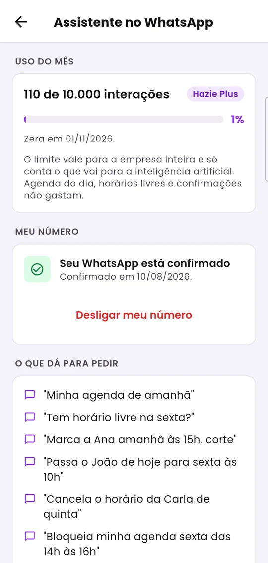 Assistente no WhatsApp: uso do mês, situação do seu número e exemplos do que pedir