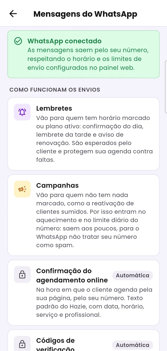 Mensagens do WhatsApp: situação da conexão e a diferença entre lembretes e campanhas