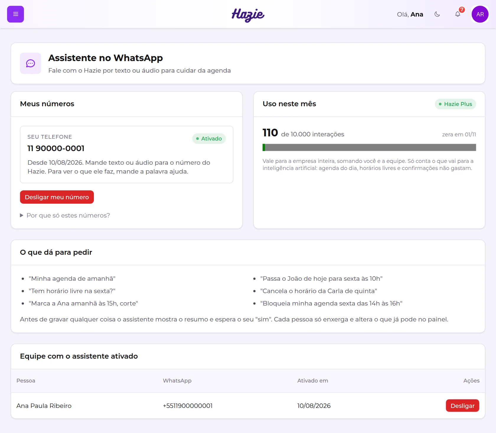 Tela Assistente no WhatsApp do dono, com Meus números, Uso neste mês, O que dá para pedir e a equipe ativada