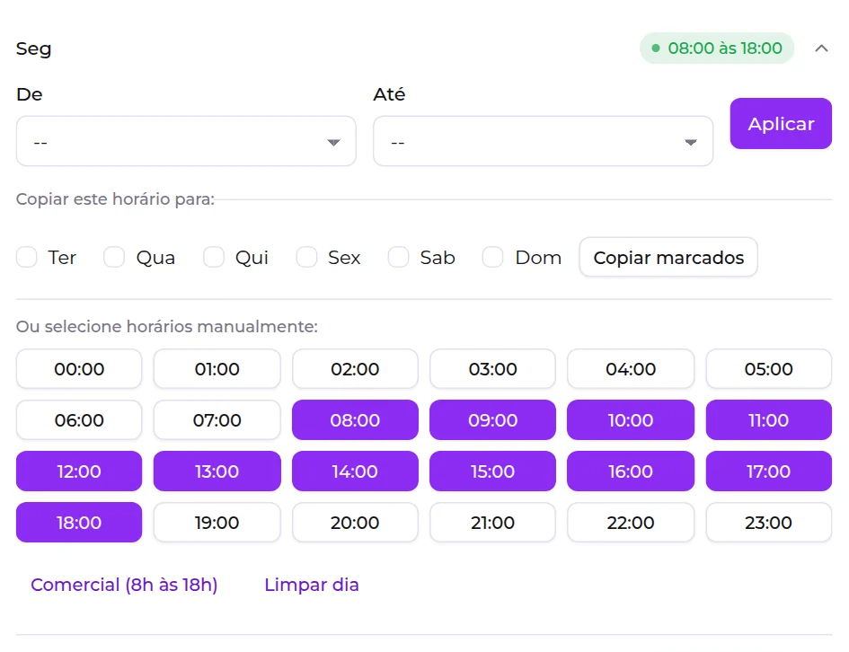Um dia aberto no assistente, com os campos De e Até, o botão Aplicar e a opção de copiar para outros dias